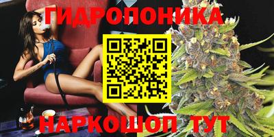 apvp Кингисепп