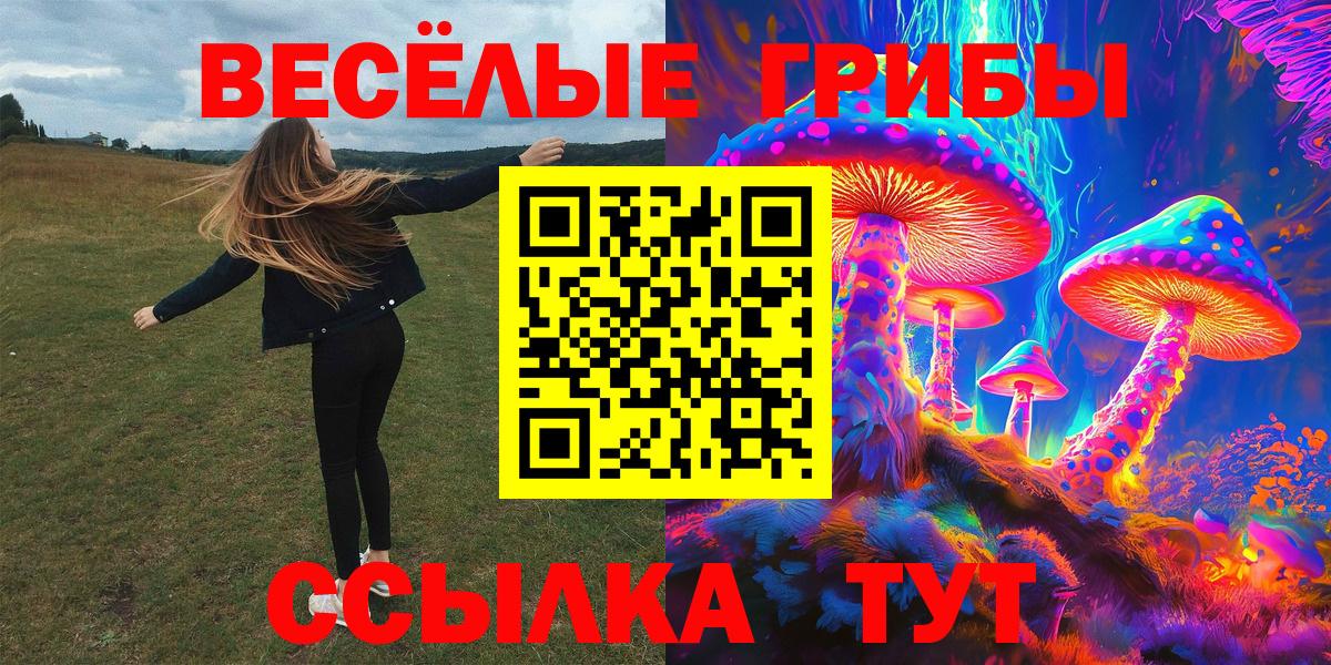 Тулун  Галлюциногенные грибы прущие грибы  Псилоцибиновые грибы Psilocybine cubensis  Вход с VPN 